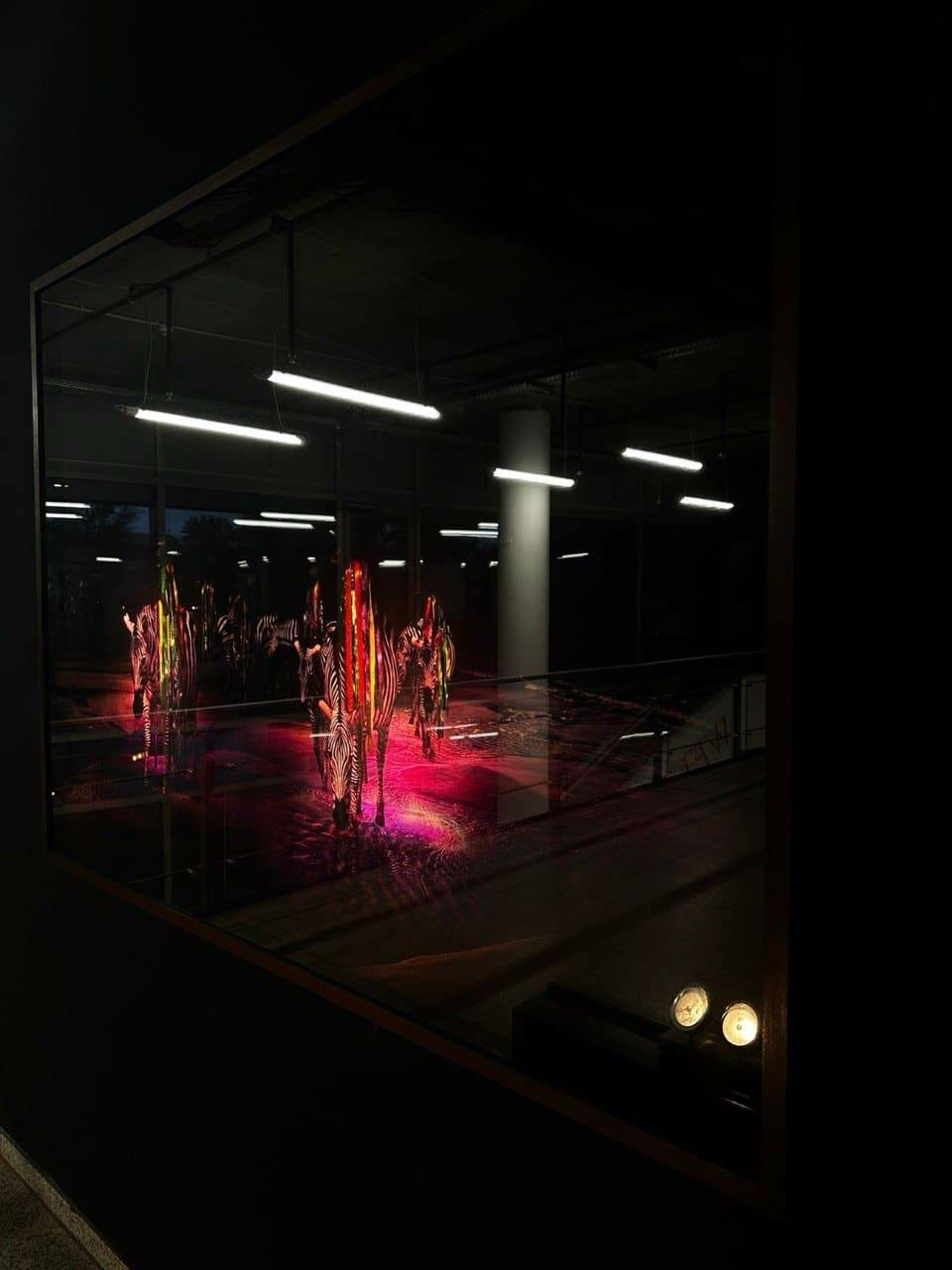 Illuminated zebra artwork behind glass in a dark gallery space